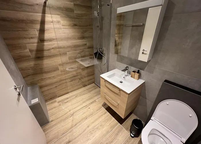 Appartement Magnifique Rénové Saas Fee