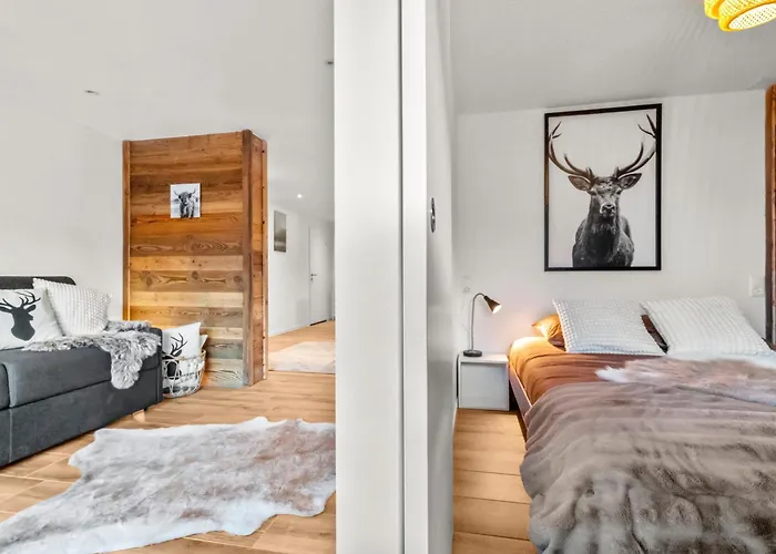 Magnifique Rénové Appartement