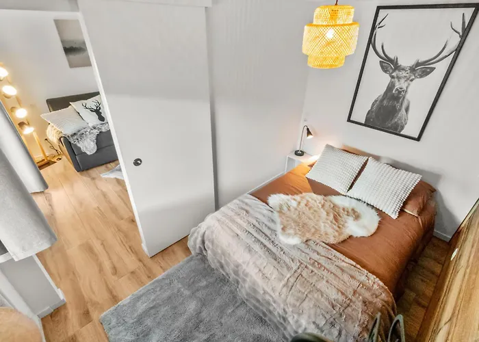 Magnifique Rénové * Saas Fee