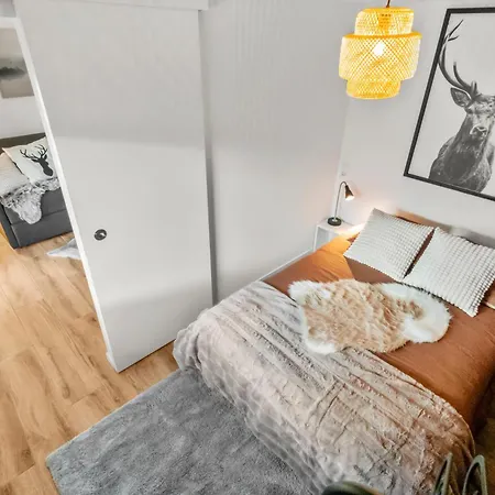 Magnifique Renove * Зас-Фе